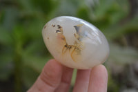 Polished Banded Agate Palm Stones x 24 From Madagascar - Toprock Gemstones and Minerals 