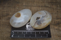 Polished Banded Agate Palm Stones x 24 From Madagascar - Toprock Gemstones and Minerals 