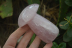 Polished Rose Quartz Mushrooms x 4 From Madagascar - Toprock Gemstones and Minerals 