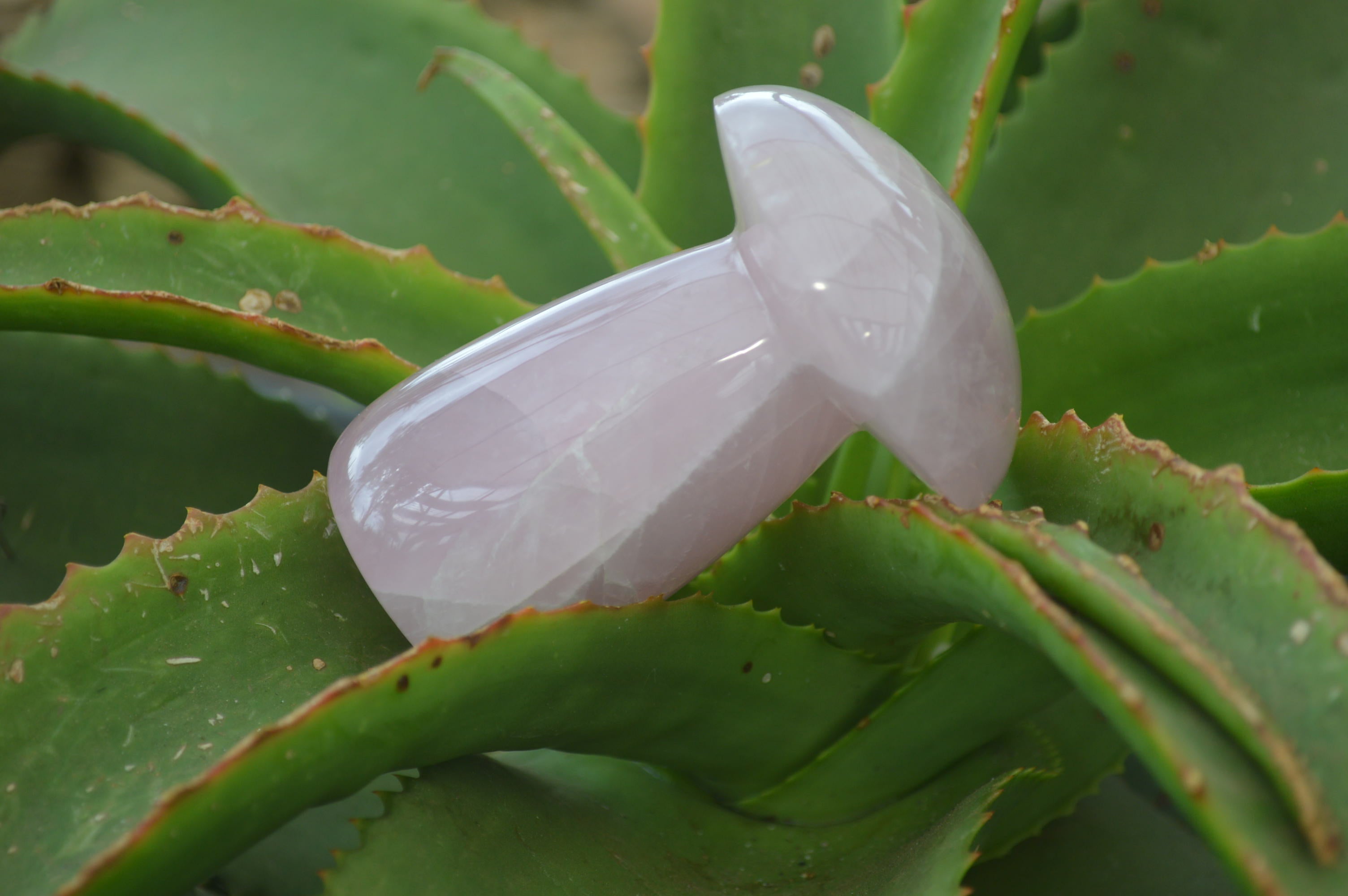Polished Rose Quartz Mushrooms x 4 From Madagascar - Toprock Gemstones and Minerals 