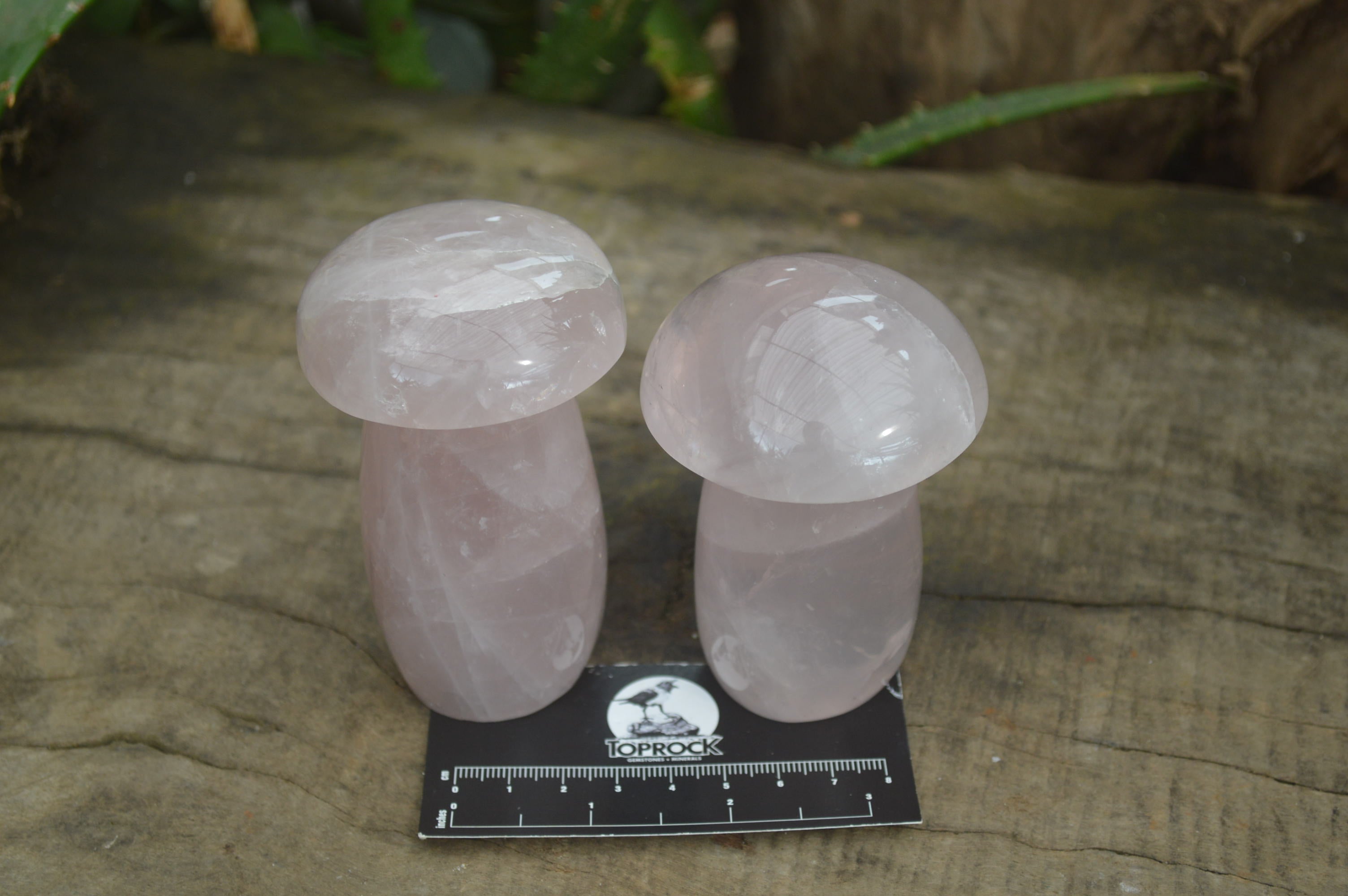Polished Rose Quartz Mushrooms x 4 From Madagascar - Toprock Gemstones and Minerals 