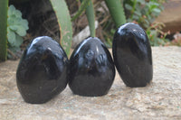 Polished Black Tourmaline Standing Free Forms x 3 From Madagascar - Toprock Gemstones and Minerals 