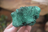 Natural Silky Malachite Specimens x 6 From Kasompe, Congo - Toprock Gemstones and Minerals 