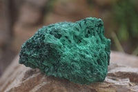 Natural Silky Malachite Specimens x 6 From Kasompe, Congo - Toprock Gemstones and Minerals 