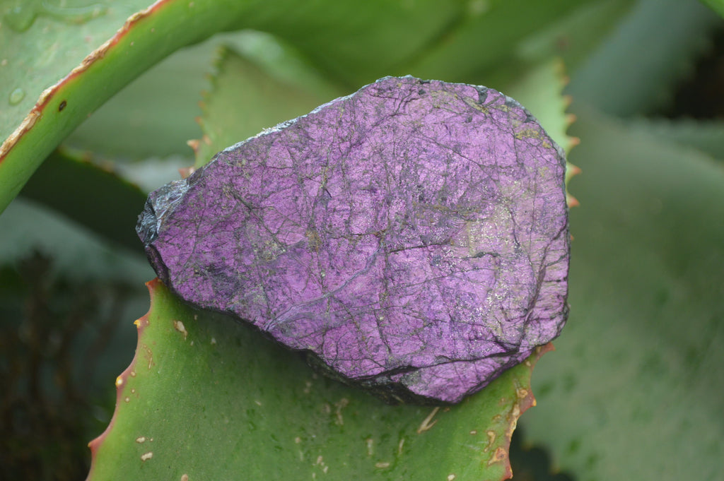 Natural Metallic Purpurite Cobbed Specimens x 12 From Erongo, Namibia - Toprock Gemstones and Minerals 