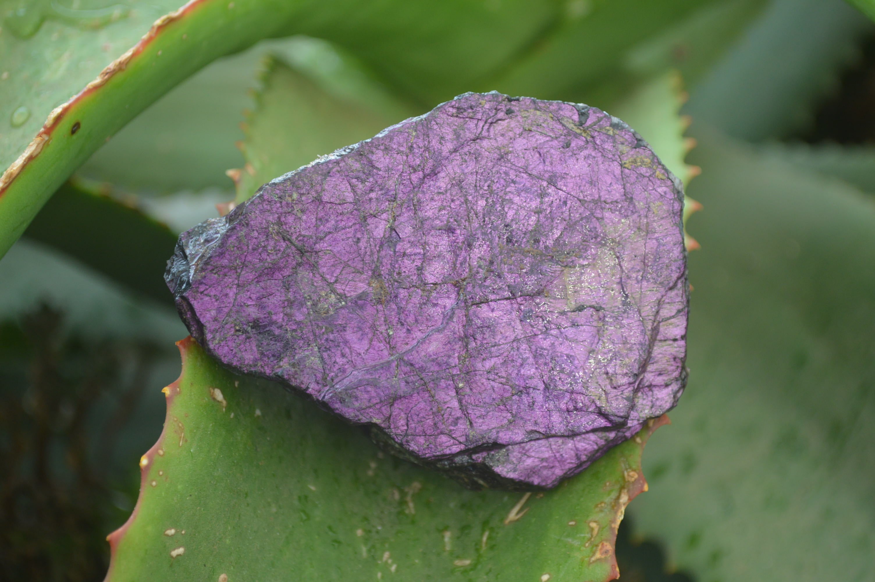 Natural Metallic Purpurite Cobbed Specimens x 12 From Erongo, Namibia - Toprock Gemstones and Minerals 