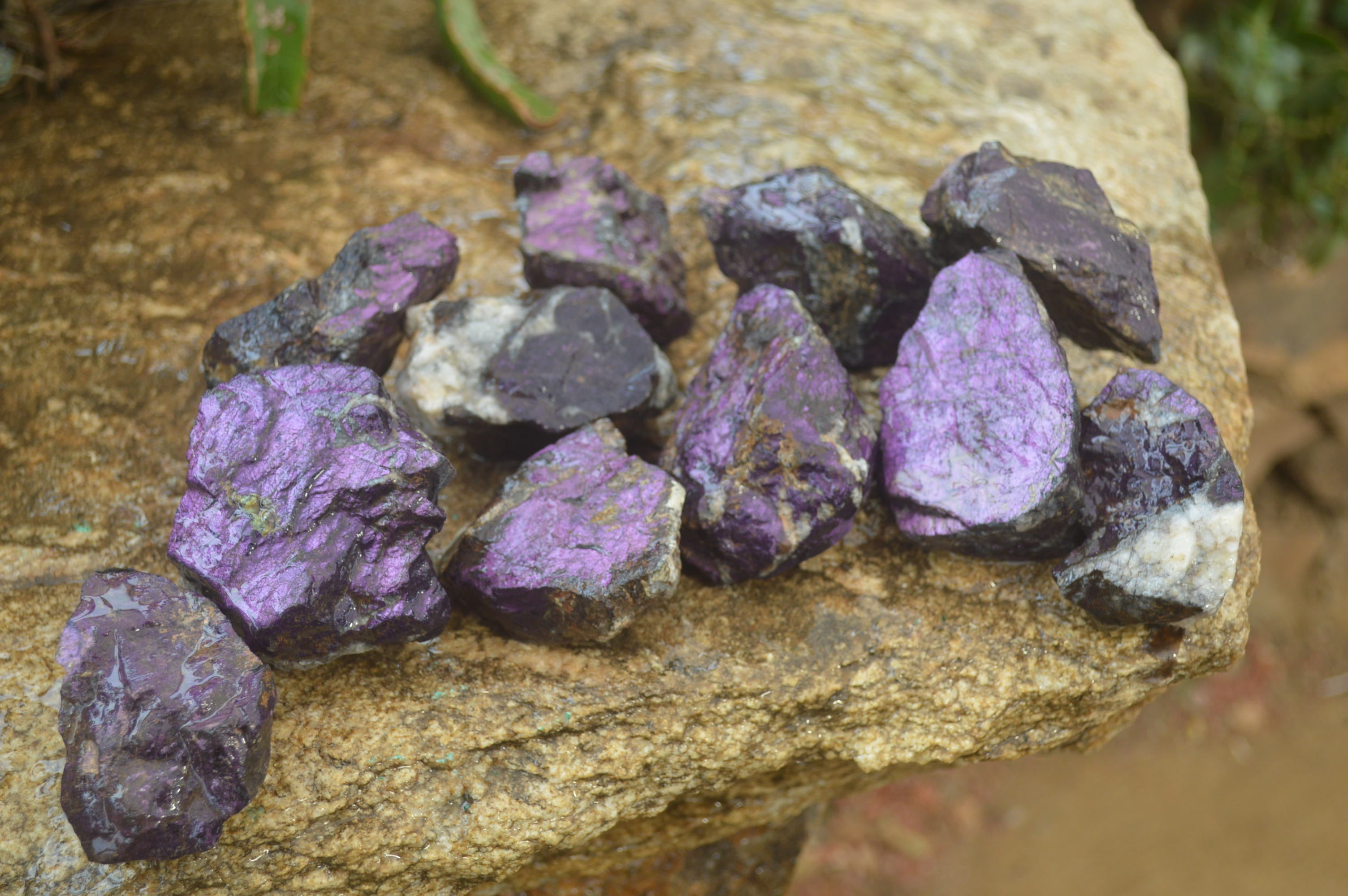 Natural Metallic Purpurite Cobbed Specimens x 12 From Erongo, Namibia - Toprock Gemstones and Minerals 