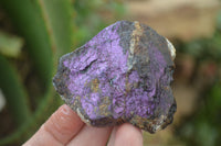 Natural Metallic Purpurite Cobbed Specimens x 12 From Erongo, Namibia - Toprock Gemstones and Minerals 