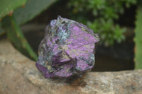 Natural Metallic Purpurite Cobbed Specimens x 12 From Erongo, Namibia - Toprock Gemstones and Minerals 