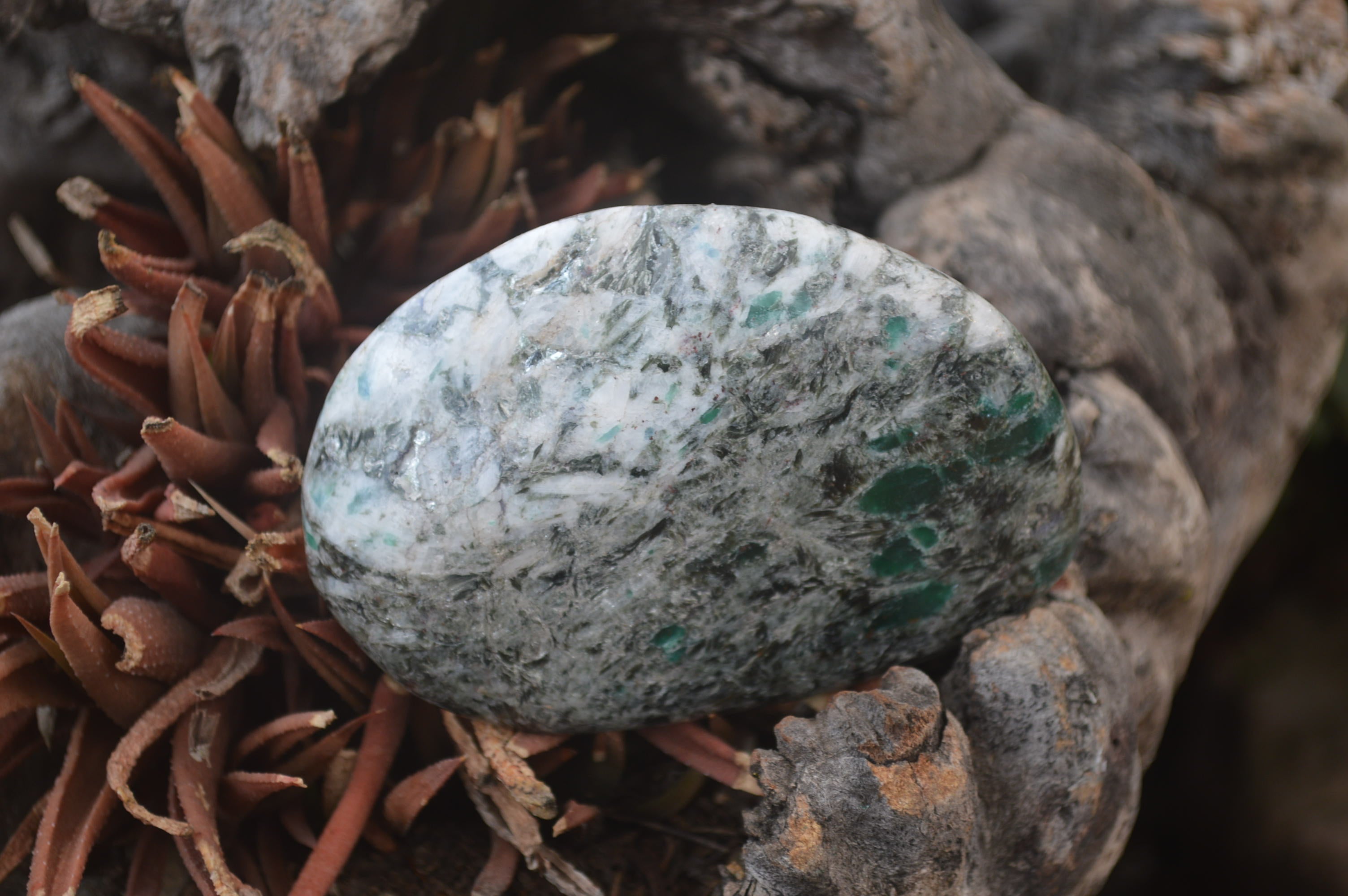 Polished Rare Emerald Mica In Matrix Free Forms x 6 From Mutoko, Zimbabwe - Toprock Gemstones and Minerals 