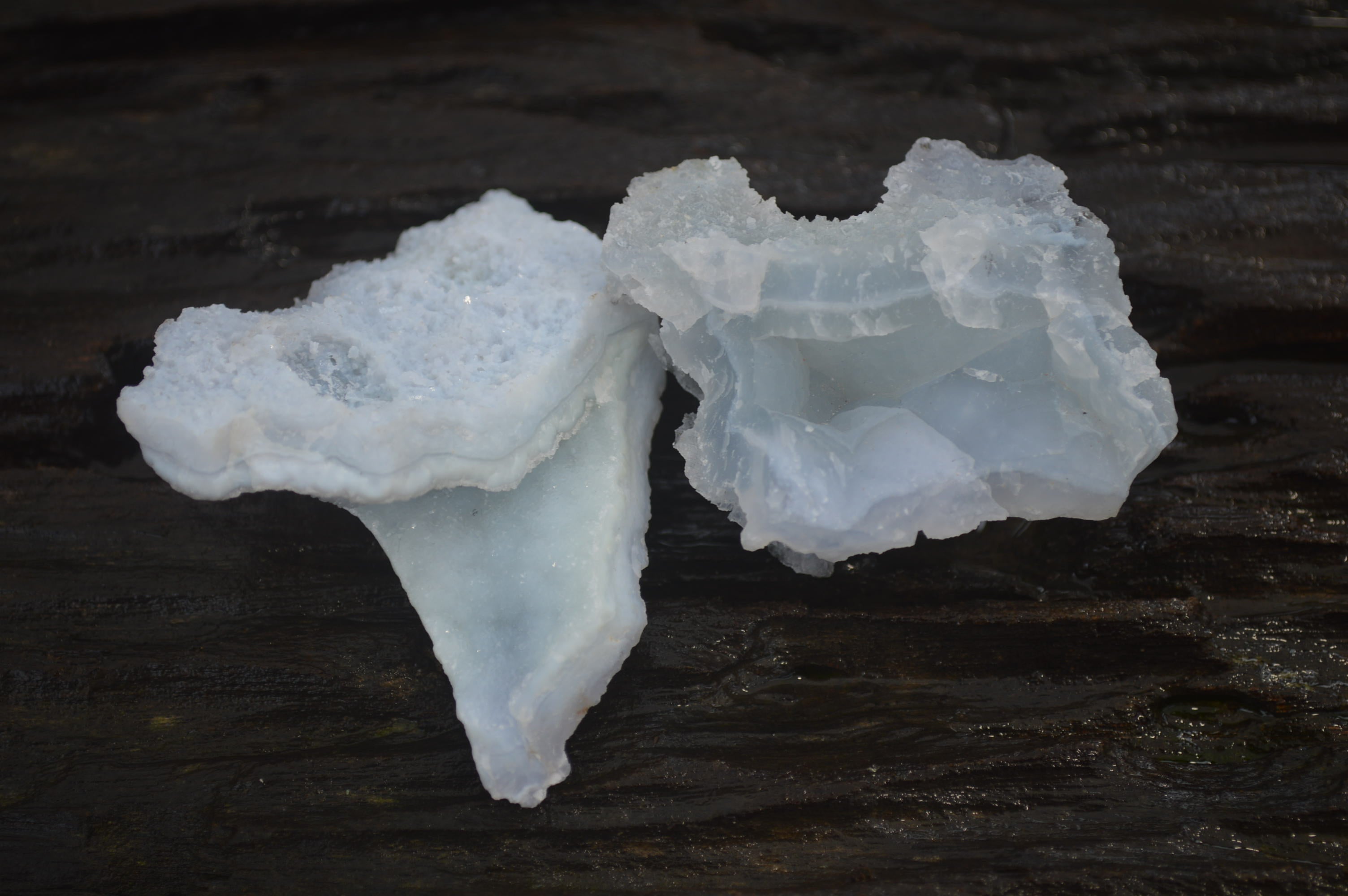 Natural Etched Blue Chalcedony Specimens x 12 From Nsanje, Malawi - Toprock Gemstones and Minerals 
