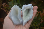 Natural Etched Blue Chalcedony Specimens x 12 From Nsanje, Malawi - Toprock Gemstones and Minerals 