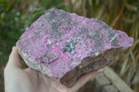 Natural Salrose Cobaltion Dolomite Specimen x 1 From Kakanda, Congo - Toprock Gemstones and Minerals 