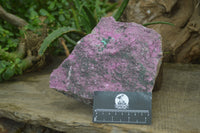 Natural Salrose Cobaltion Dolomite Specimen x 1 From Kakanda, Congo - Toprock Gemstones and Minerals 