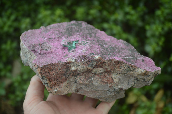 Natural Salrose Cobaltion Dolomite Specimen x 1 From Kakanda, Congo - Toprock Gemstones and Minerals 