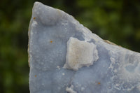Natural Crystalline Blue Lace Agate Plates x 2 From Namibia - Toprock Gemstones and Minerals 