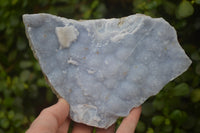 Natural Crystalline Blue Lace Agate Plates x 2 From Namibia - Toprock Gemstones and Minerals 