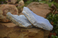Natural Crystalline Blue Lace Agate Plates x 2 From Namibia - Toprock Gemstones and Minerals 