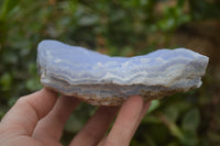 Natural Crystalline Blue Lace Agate Plates x 2 From Namibia - Toprock Gemstones and Minerals 