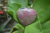 Polished Rhodonite Gemstone Hearts x 6 From Madagascar