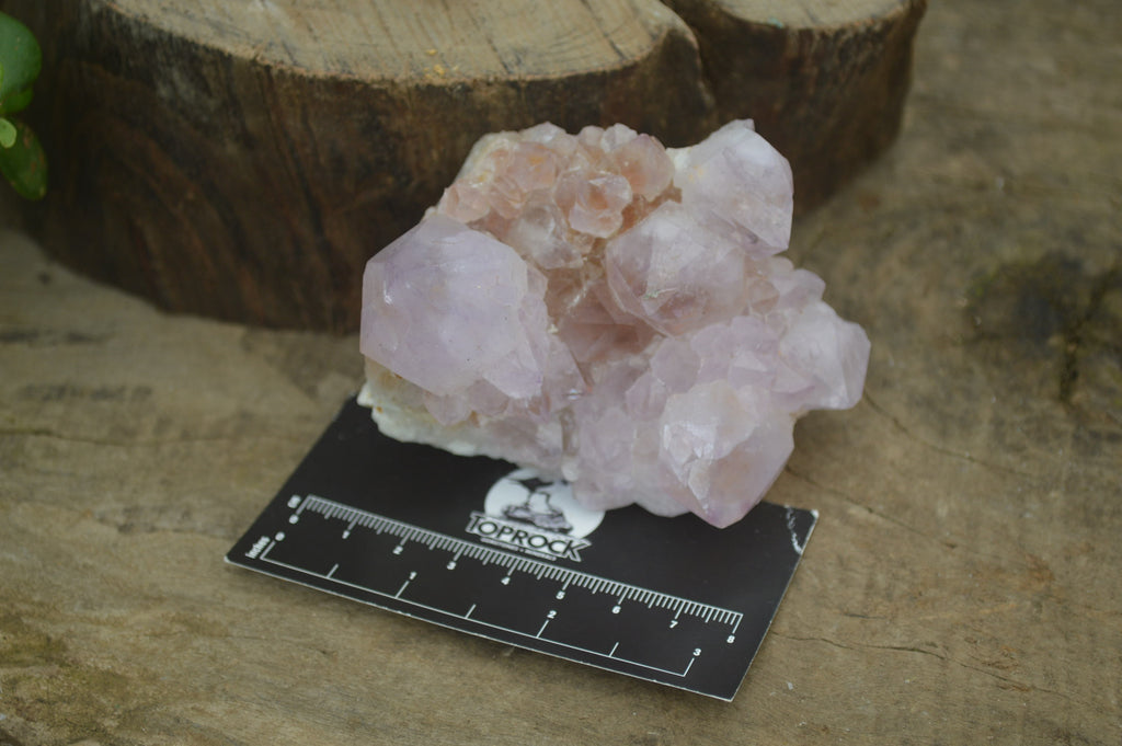 Natural Amethyst Cactus Flower Spirit Quartz Clusters x 6 From Boekenhouthoek, South Africa - Toprock Gemstones and Minerals 