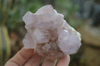 Natural Amethyst Cactus Flower Spirit Quartz Clusters x 6 From Boekenhouthoek, South Africa - Toprock Gemstones and Minerals 