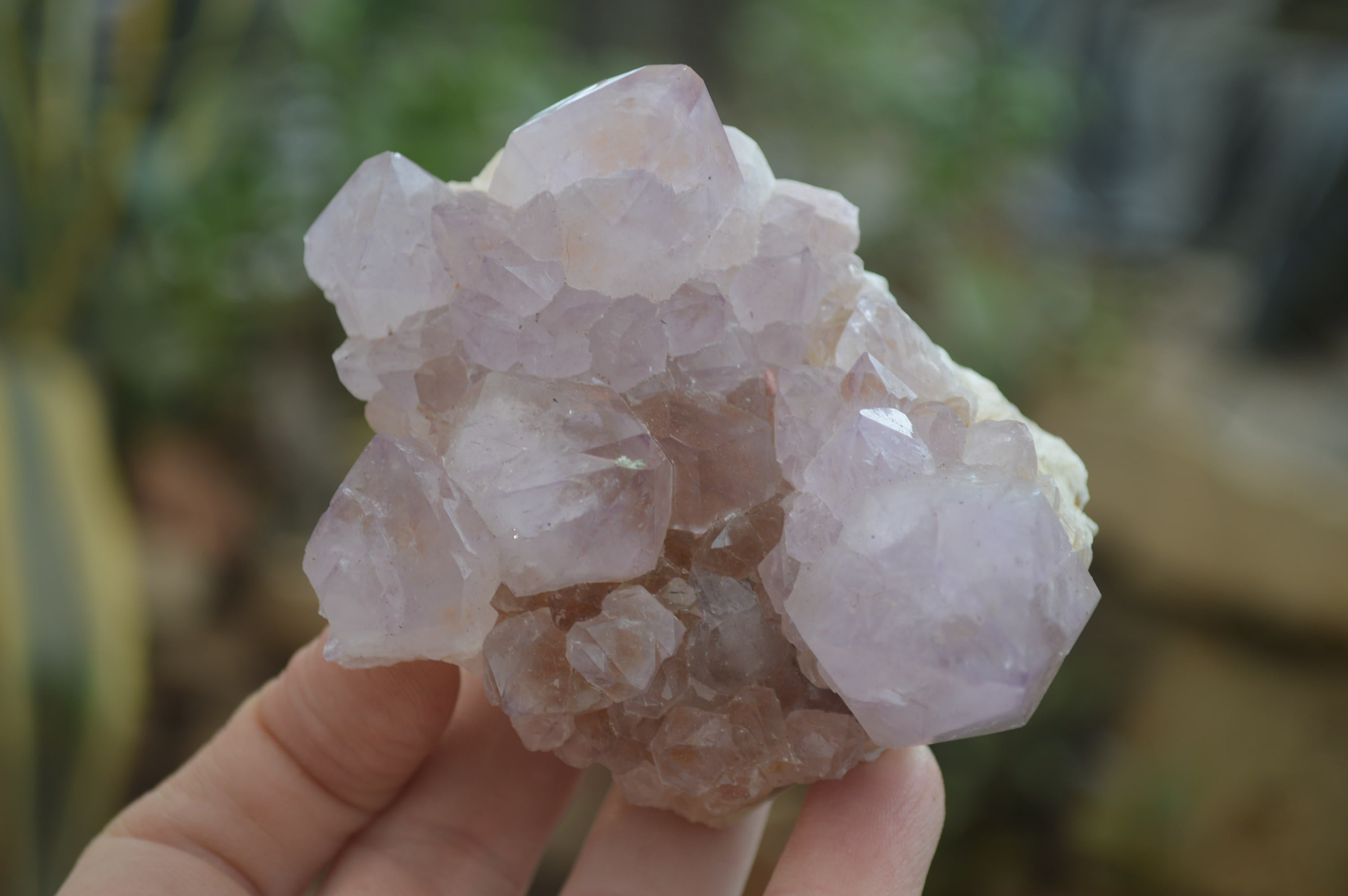 Natural Amethyst Cactus Flower Spirit Quartz Clusters x 6 From Boekenhouthoek, South Africa - Toprock Gemstones and Minerals 