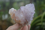 Natural Amethyst Cactus Flower Spirit Quartz Clusters x 6 From Boekenhouthoek, South Africa - Toprock Gemstones and Minerals 