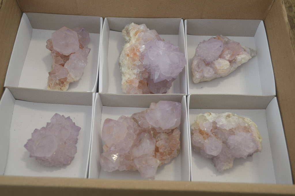 Natural Amethyst Cactus Flower Spirit Quartz Clusters x 6 From Boekenhouthoek, South Africa - Toprock Gemstones and Minerals 