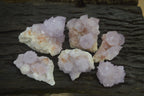 Natural Amethyst Cactus Flower Spirit Quartz Clusters x 6 From Boekenhouthoek, South Africa - Toprock Gemstones and Minerals 