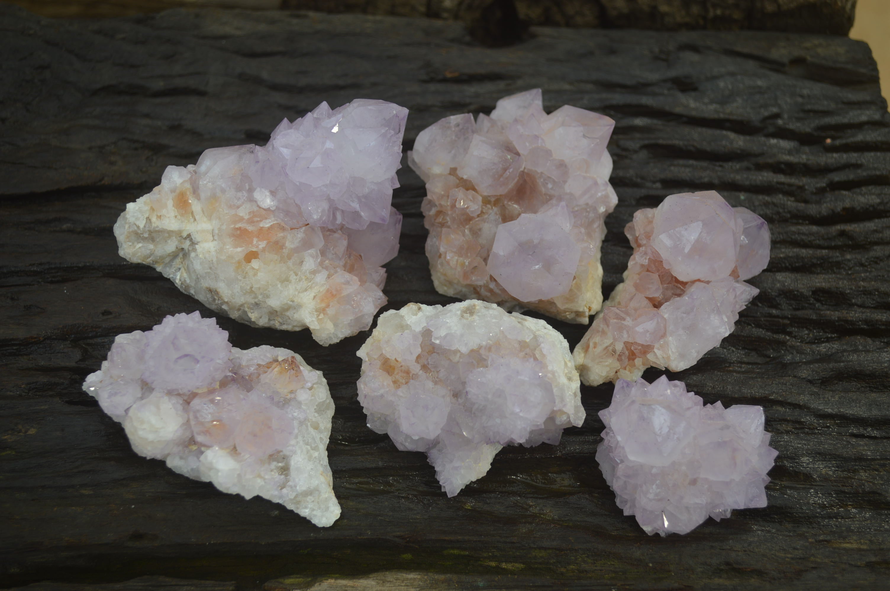 Natural Amethyst Cactus Flower Spirit Quartz Clusters x 6 From Boekenhouthoek, South Africa - Toprock Gemstones and Minerals 