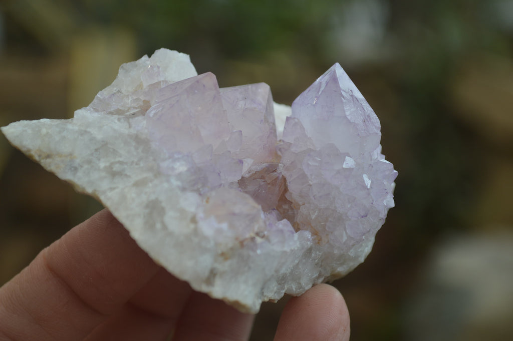 Natural Amethyst Cactus Flower Spirit Quartz Clusters x 6 From Boekenhouthoek, South Africa - Toprock Gemstones and Minerals 