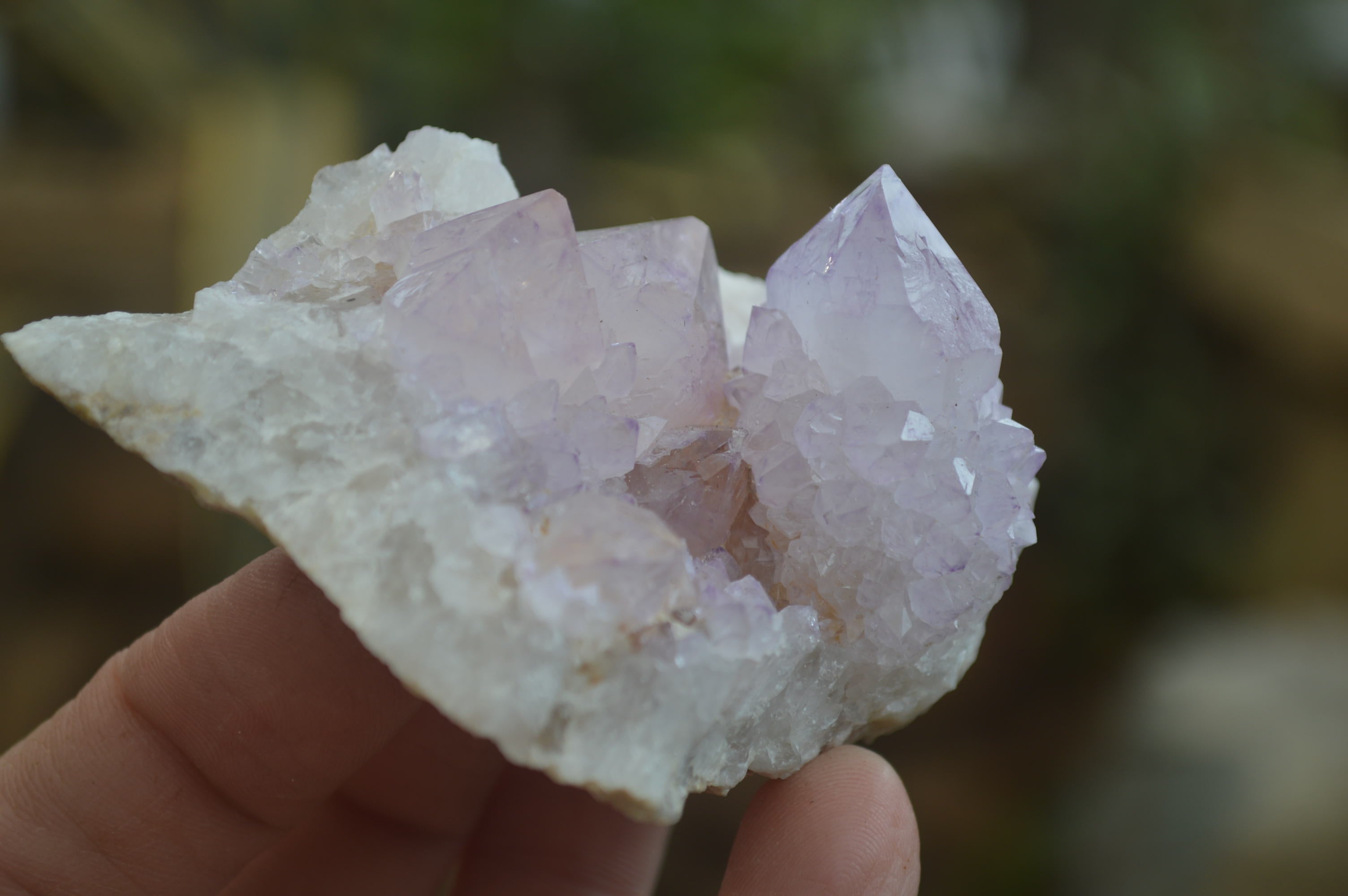 Natural Amethyst Cactus Flower Spirit Quartz Clusters x 6 From Boekenhouthoek, South Africa - Toprock Gemstones and Minerals 