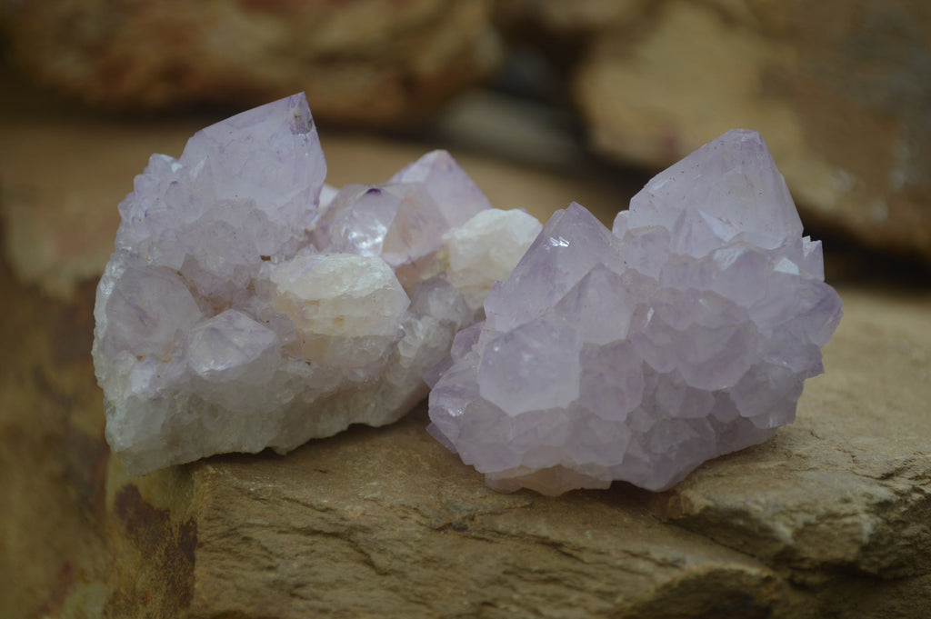 Natural Amethyst Cactus Flower Spirit Quartz Clusters x 6 From Boekenhouthoek, South Africa - Toprock Gemstones and Minerals 