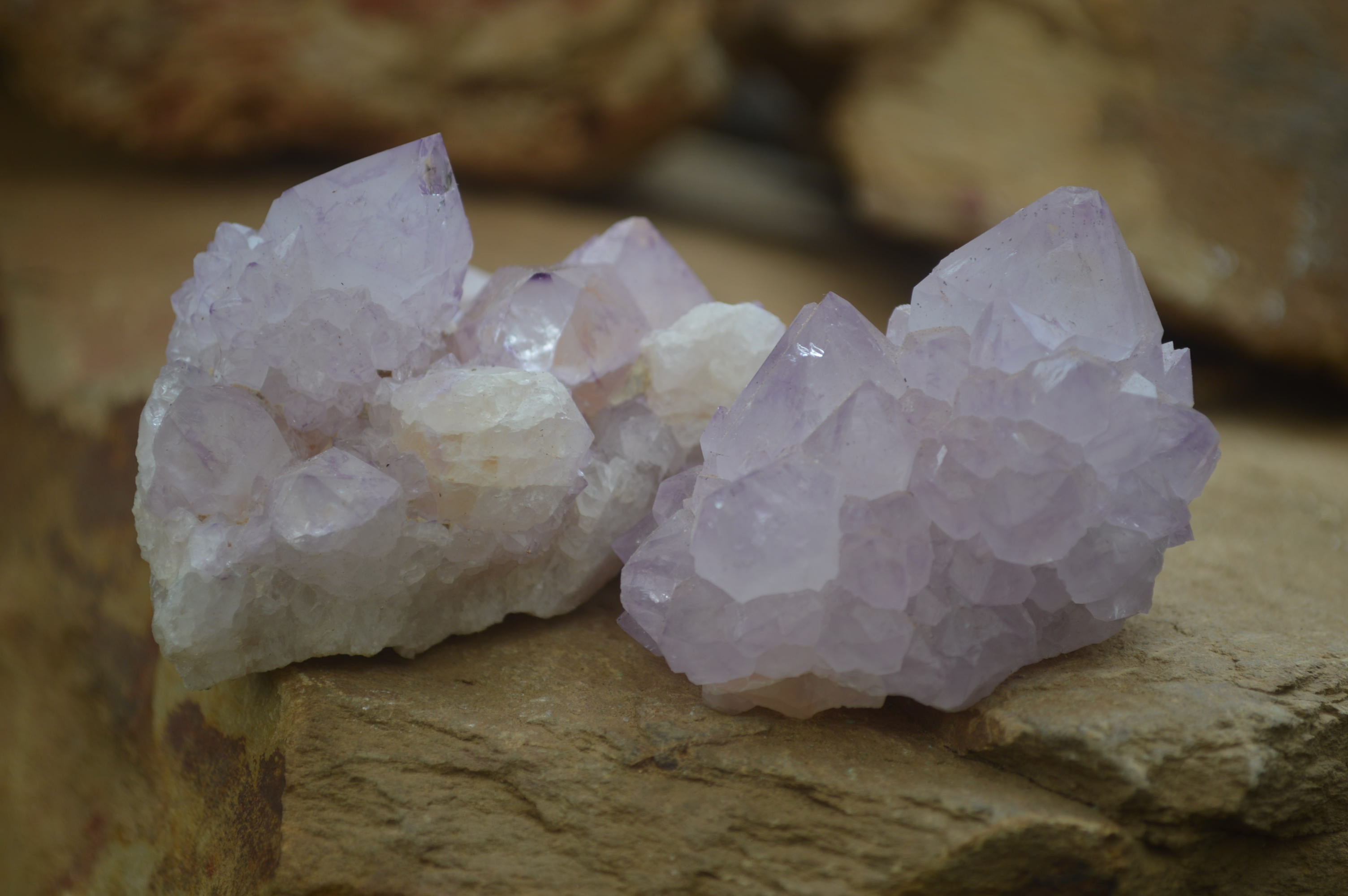 Natural Amethyst Cactus Flower Spirit Quartz Clusters x 6 From Boekenhouthoek, South Africa - Toprock Gemstones and Minerals 