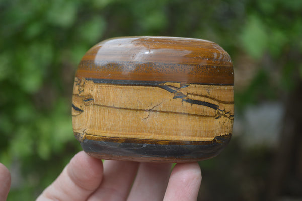 Polished Tiger's Eye Free Forms x 3 From Prieska, South Africa