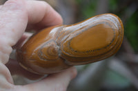 Polished Tiger's Eye Free Forms x 4 From Prieska, South Africa