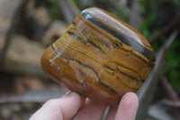 Polished Tiger's Eye Free Forms x 4 From Prieska, South Africa