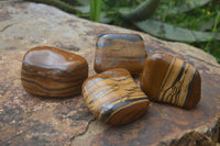 Polished Tiger's Eye Free Forms x 4 From Prieska, South Africa