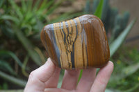 Polished Tiger's Eye Free Forms x 4 From Prieska, South Africa