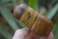 Polished Tiger's Eye Free Forms x 4 From Prieska, South Africa