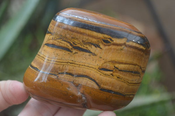 Polished Tiger's Eye Free Forms x 4 From Prieska, South Africa