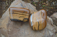 Polished Tiger's Eye Free Forms x 4 From Prieska, South Africa
