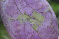 Polished Stichtite Free Forms x 4 From Barberton, South Africa - Toprock Gemstones and Minerals 