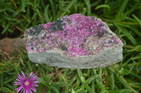 Natural Salrose Cobaltion Dolomite Specimens x 3 From Kakanda, Congo - Toprock Gemstones and Minerals 