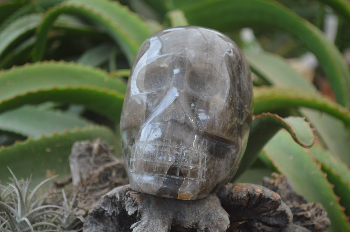 Polished Smokey Quartz Skull Carving x 1 From Madagascar - Toprock Gemstones and Minerals 