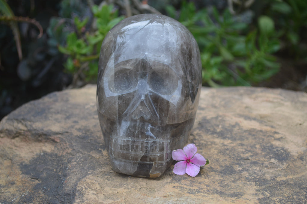 Polished Smokey Quartz Skull Carving x 1 From Madagascar - Toprock Gemstones and Minerals 