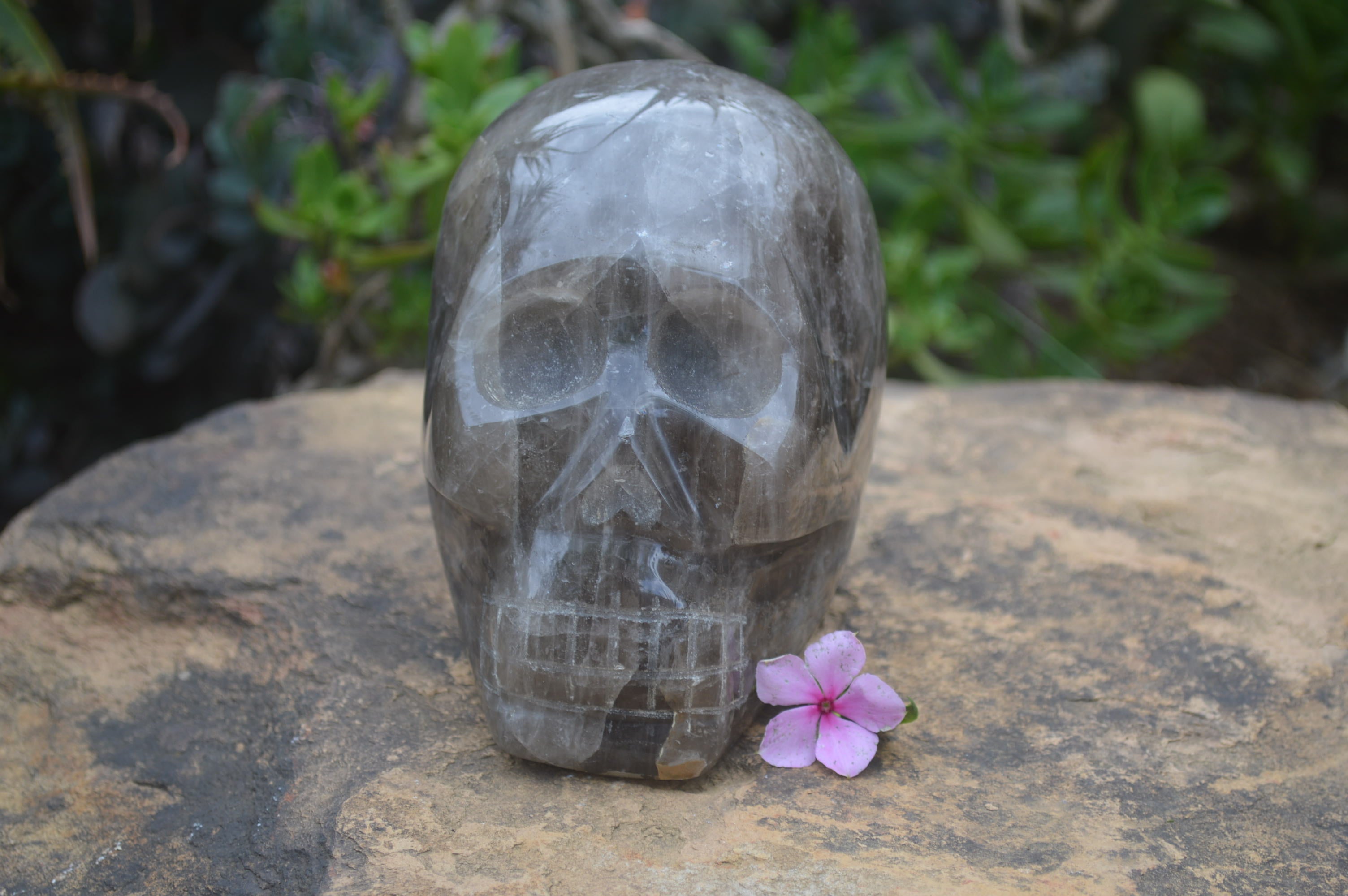 Polished Smokey Quartz Skull Carving x 1 From Madagascar - Toprock Gemstones and Minerals 