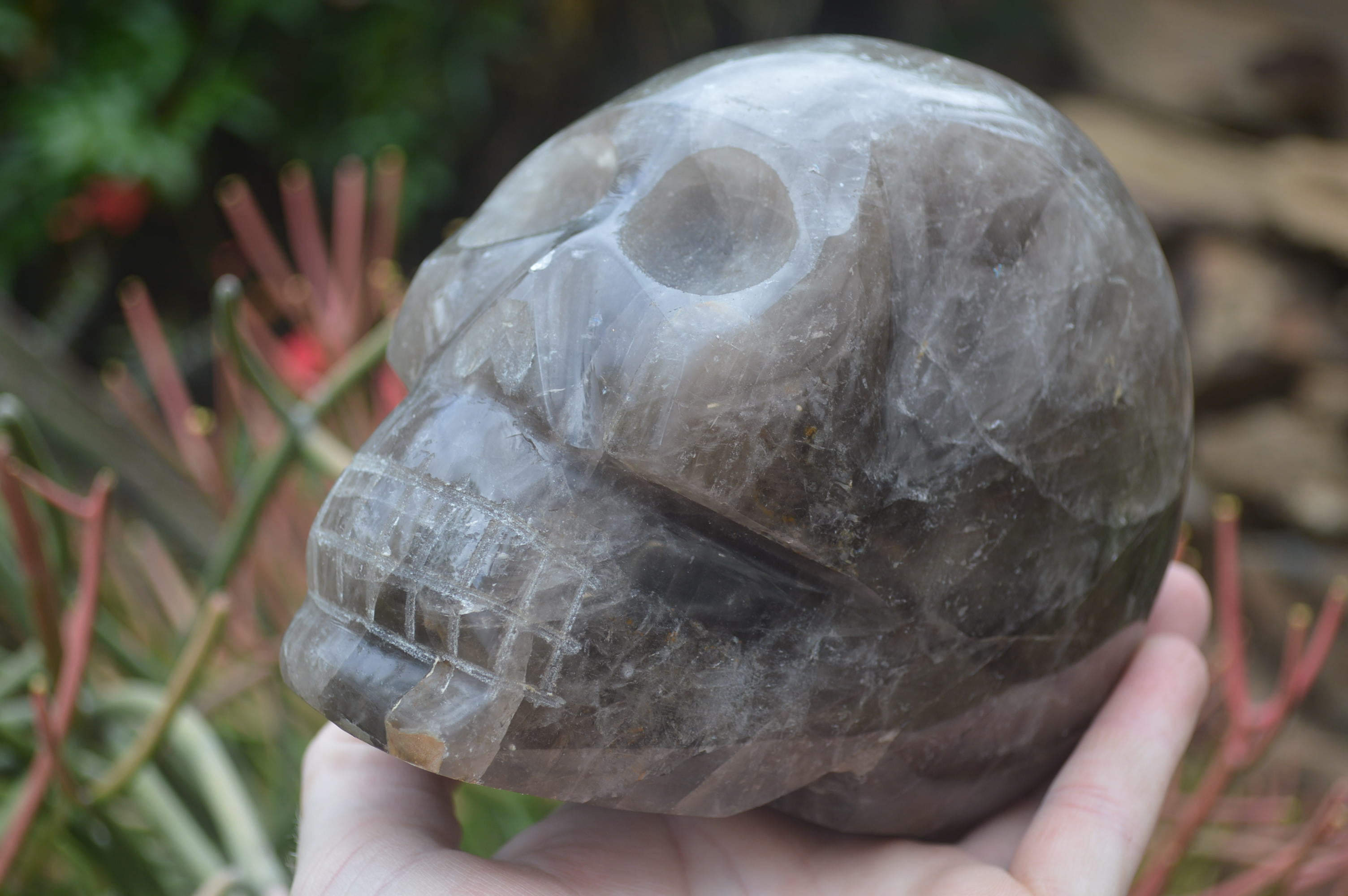 Polished Smokey Quartz Skull Carving x 1 From Madagascar - Toprock Gemstones and Minerals 