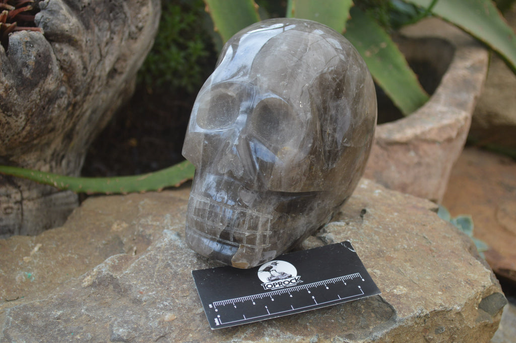 Polished Smokey Quartz Skull Carving x 1 From Madagascar - Toprock Gemstones and Minerals 
